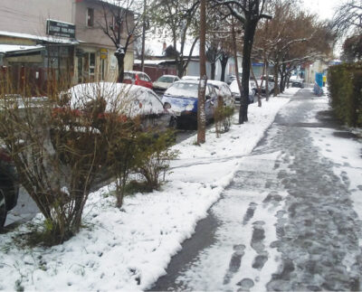 cod-galben-de-ninsoare-in-prahova