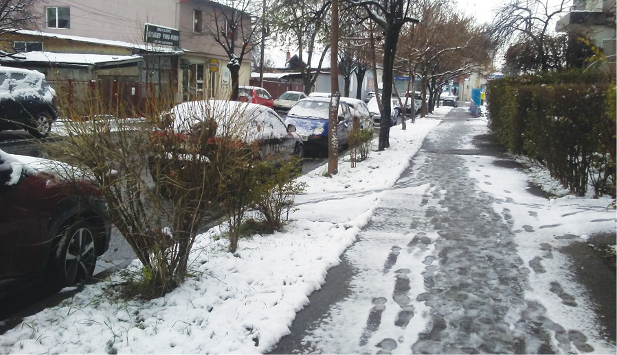 cod-galben-de-ninsoare-in-prahova