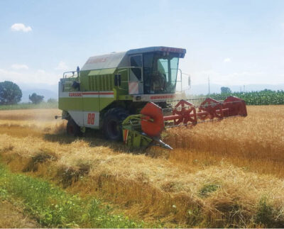 productiile-agricole-din-prahova-din-2020-–-mult-sub-cele-din-anii-buni-!