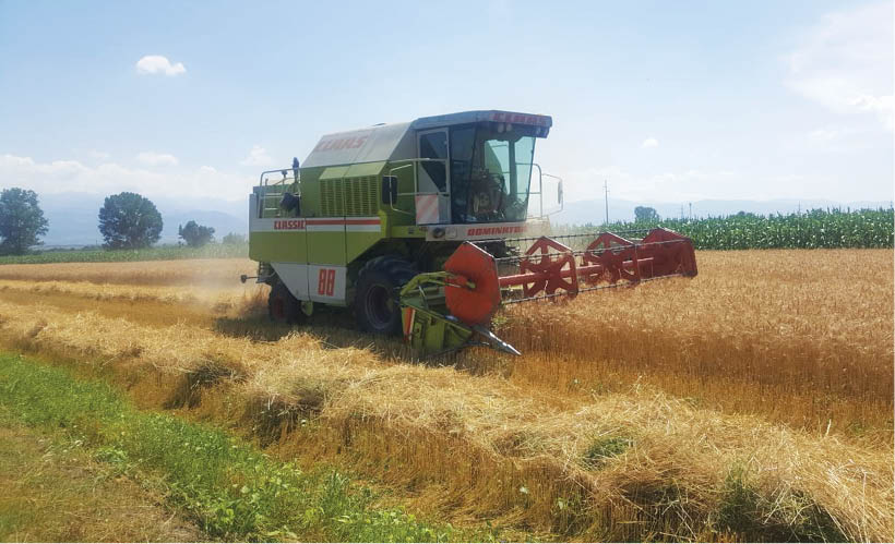 productiile-agricole-din-prahova-din-2020-–-mult-sub-cele-din-anii-buni-!
