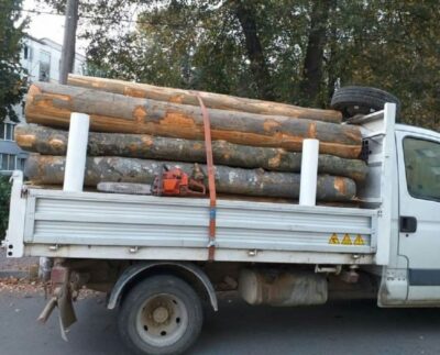 camioneta-neinmatriculata,-incarcata-cu-lemne-fara-documente,-depistata-in-prahova.-soferul-beat-a-fost-retinut
