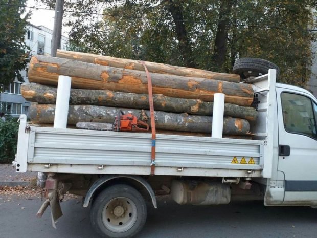 camioneta-neinmatriculata,-incarcata-cu-lemne-fara-documente,-depistata-in-prahova.-soferul-beat-a-fost-retinut